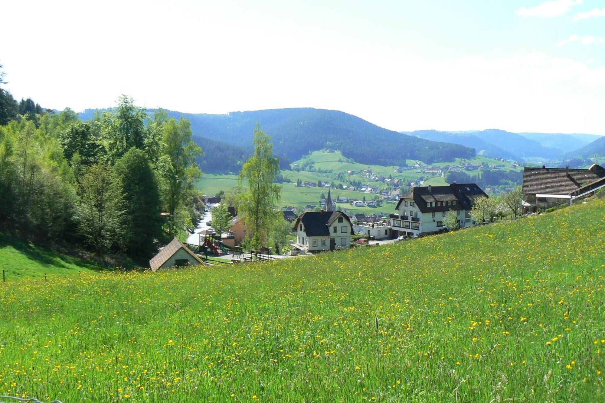 Pension Talblick Baiersbronn Extérieur photo