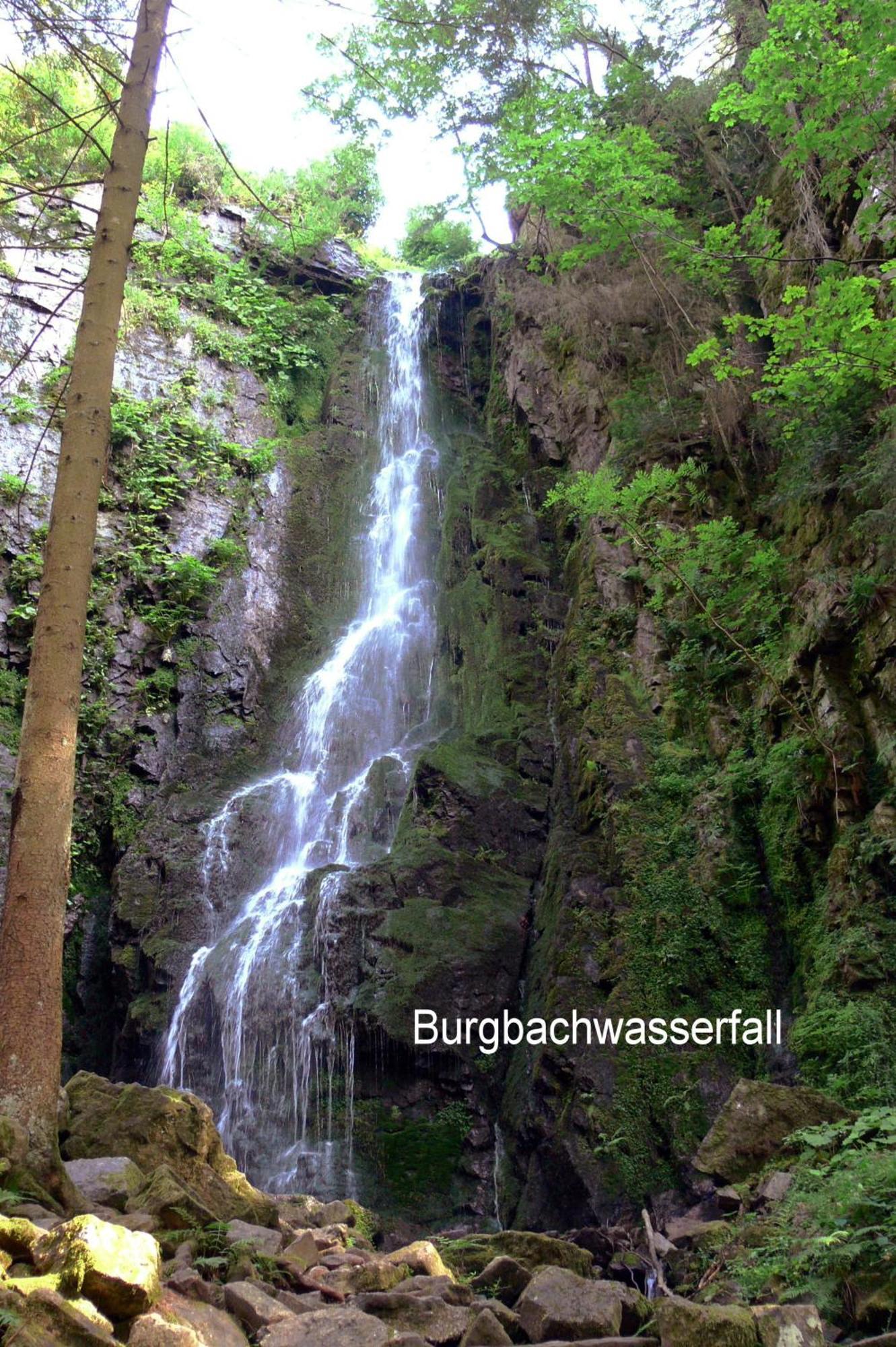 Pension Talblick Baiersbronn Extérieur photo