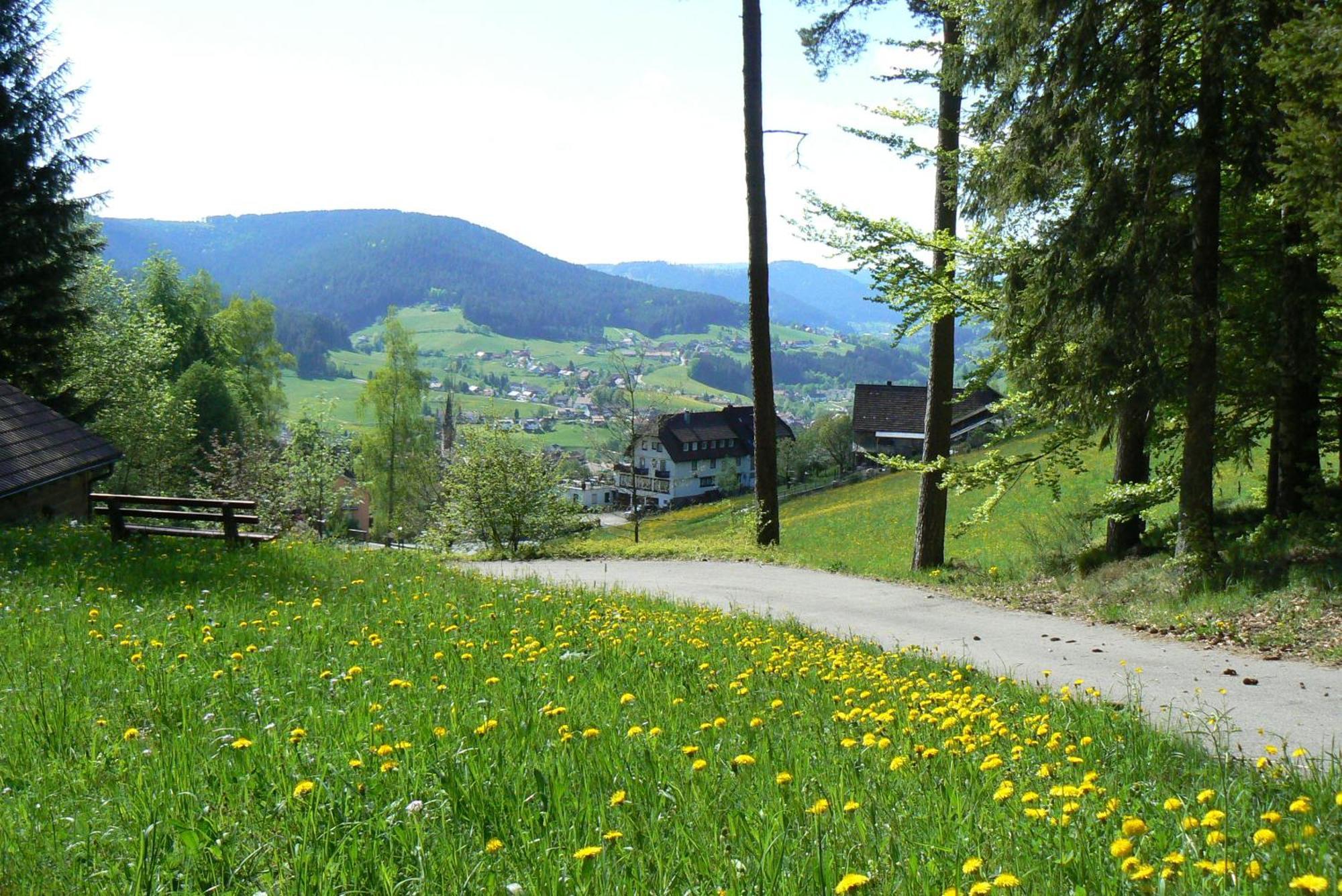 Pension Talblick Baiersbronn Extérieur photo