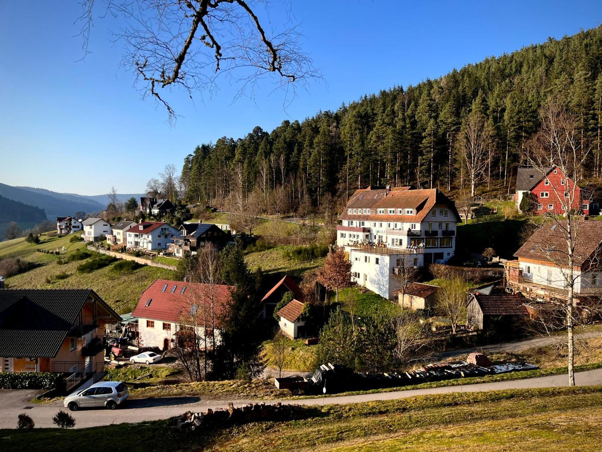 Pension Talblick Baiersbronn Extérieur photo