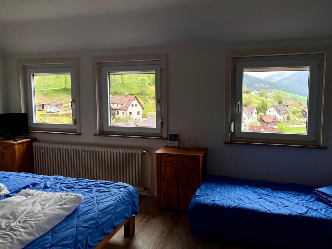 Pension Talblick Baiersbronn Extérieur photo