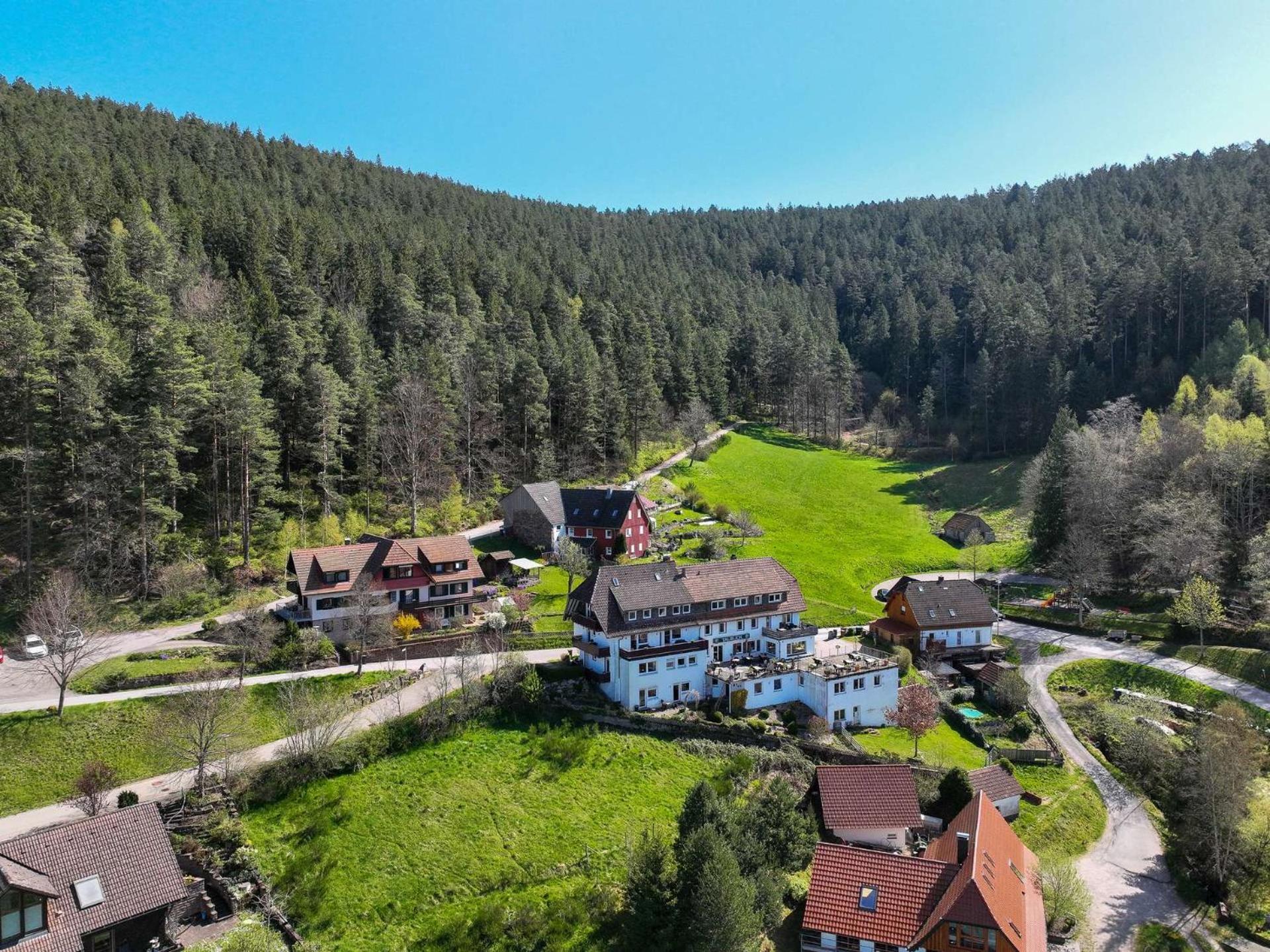 Pension Talblick Baiersbronn Extérieur photo