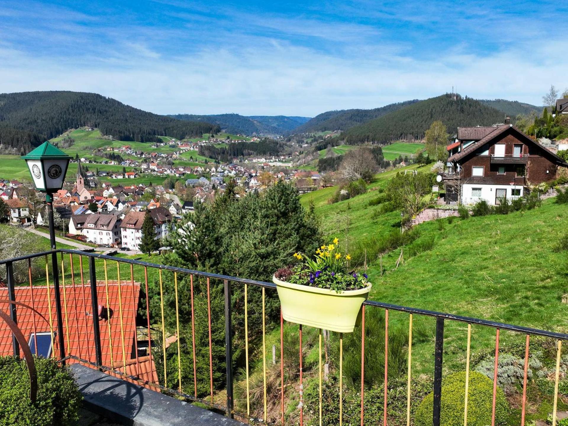 Pension Talblick Baiersbronn Extérieur photo