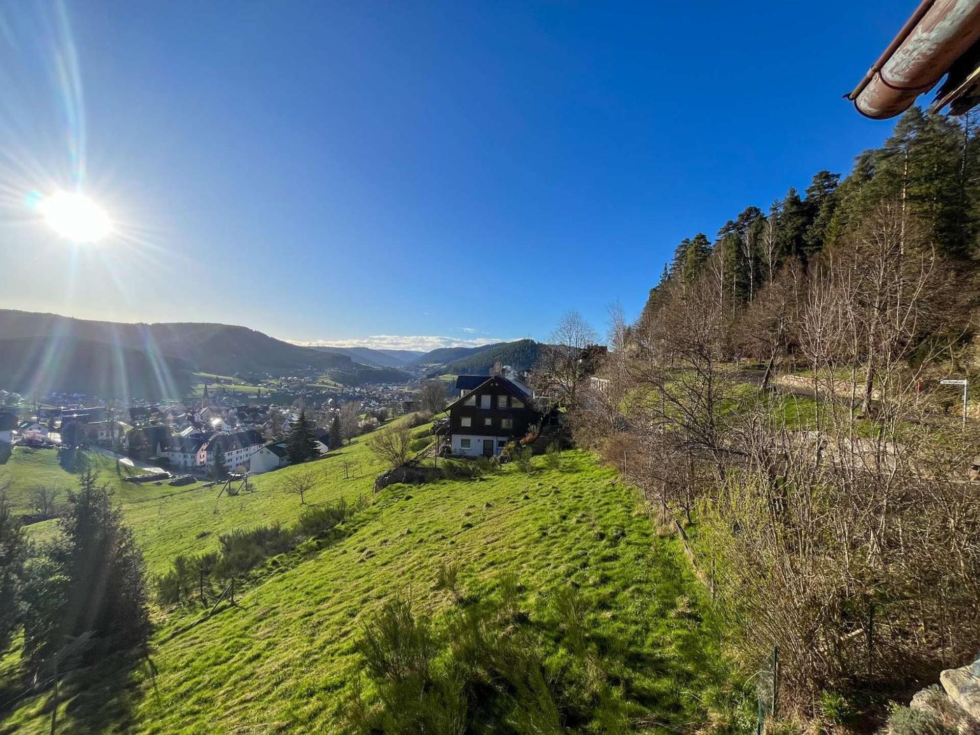 Pension Talblick Baiersbronn Extérieur photo
