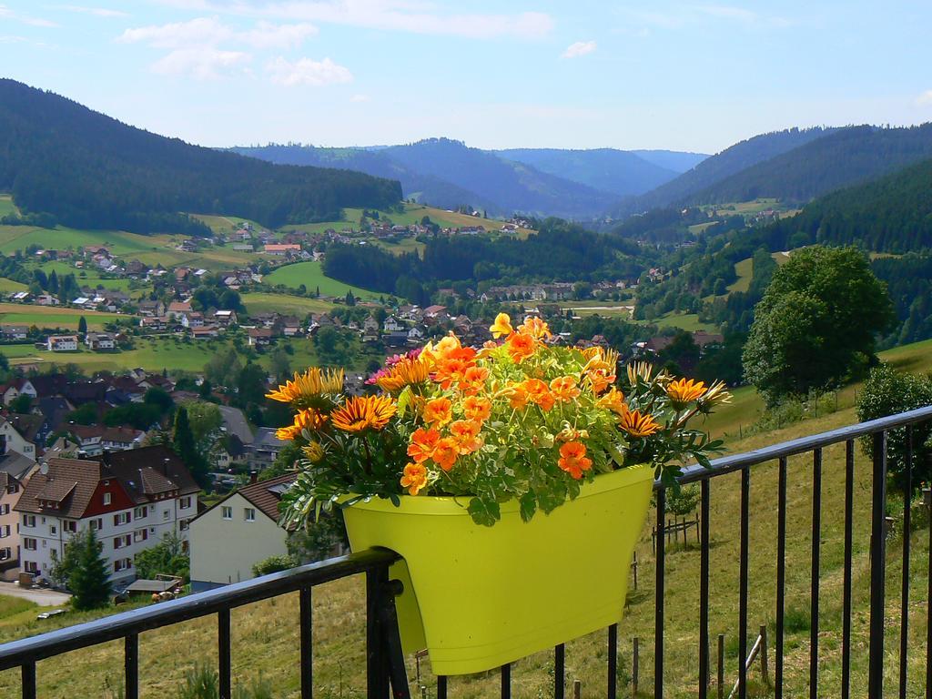 Pension Talblick Baiersbronn Extérieur photo